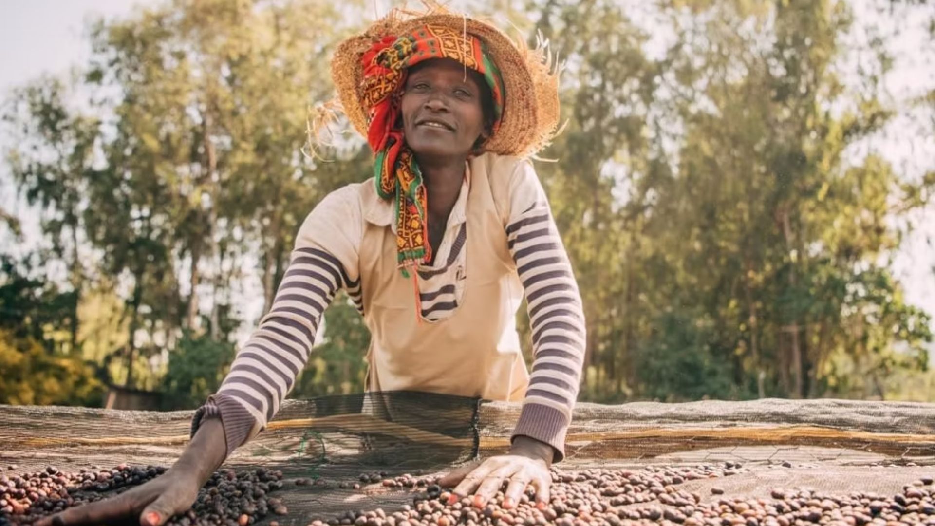 Sidamo Bensa Natural - Image 3