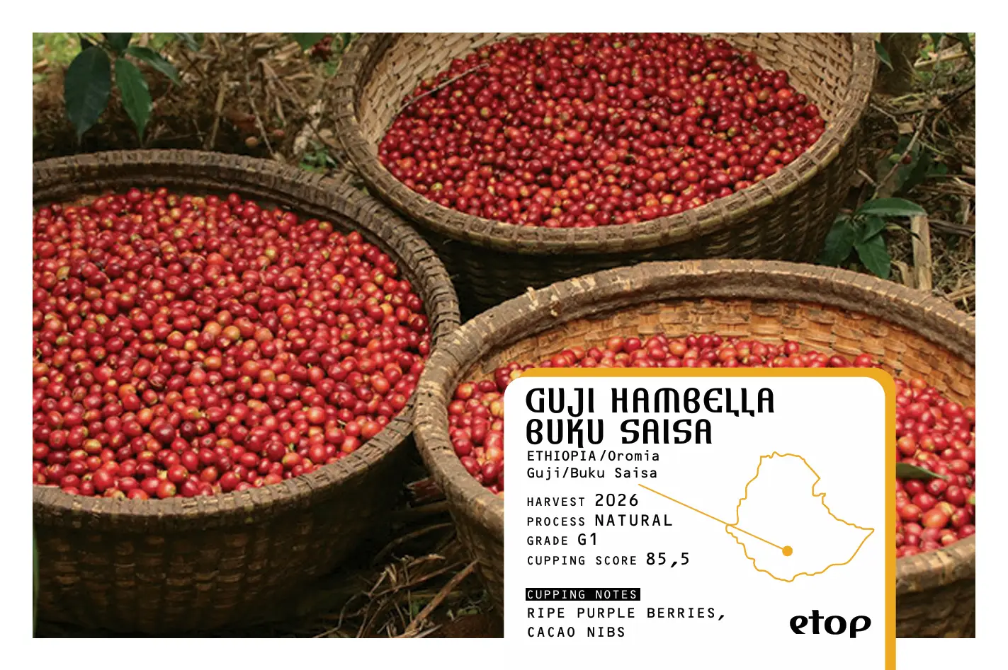 Guji Hambella Buku Saisa