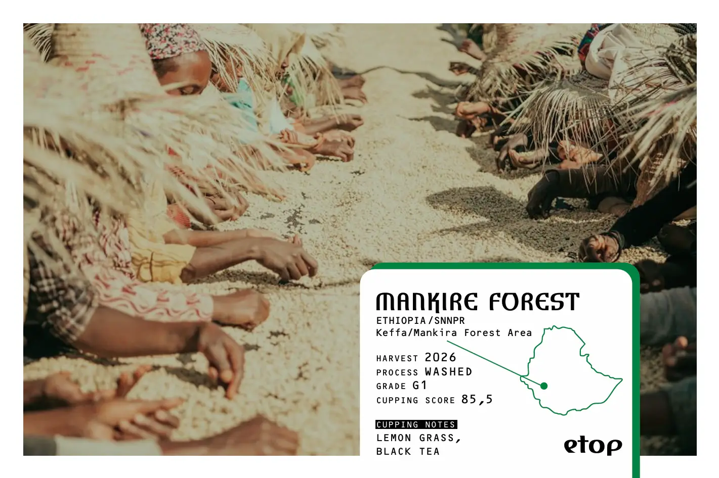 MANKIRE FOREST