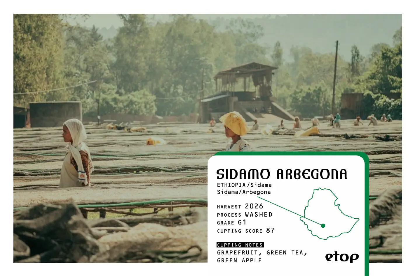 SIDAMO ARBEGONA