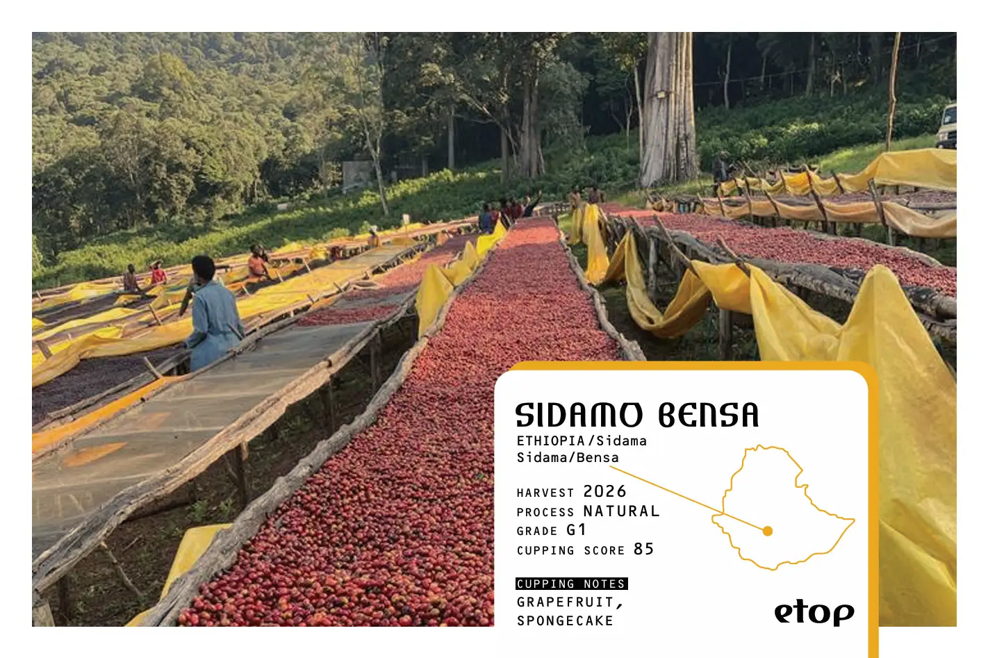 SIDAMO BENSA
