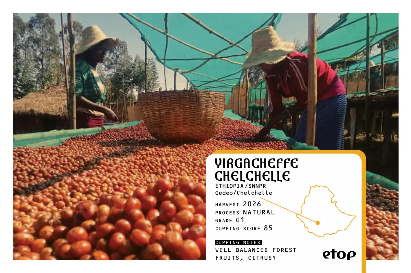 YIRGACHEFFE CHELCHELLE