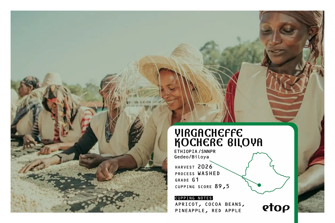 YIRGACHEFFE KOCHERE BILOYA